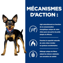 PATEE CHIEN ADULT PRESCRIPTION DIETS METABOLIC (mijoté) - HILL'S