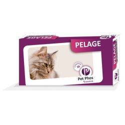 PET-PHOS CROISSANCE CHAT - CEVA