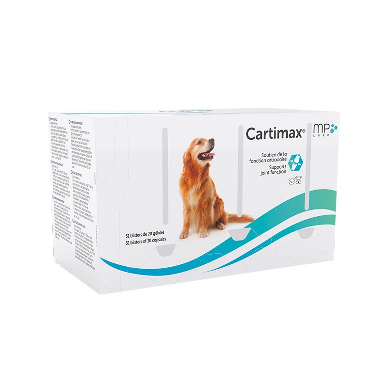 Cartimax - Articulations - Chien et Chat - MP LABO