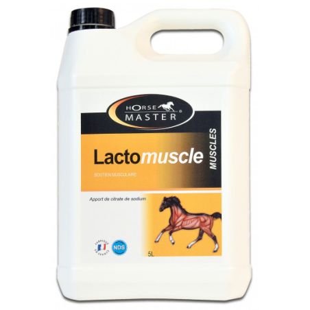 LACTOMUSCLE - HORSE MASTER