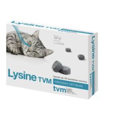 LYSINE CHAT (BOULETTES) - TVM