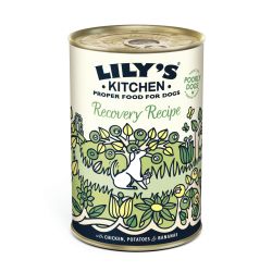 PATEE CHIEN RECOVERY RECIPE POULET PATATE BANANE (boite) - LILY'S KITCHEN