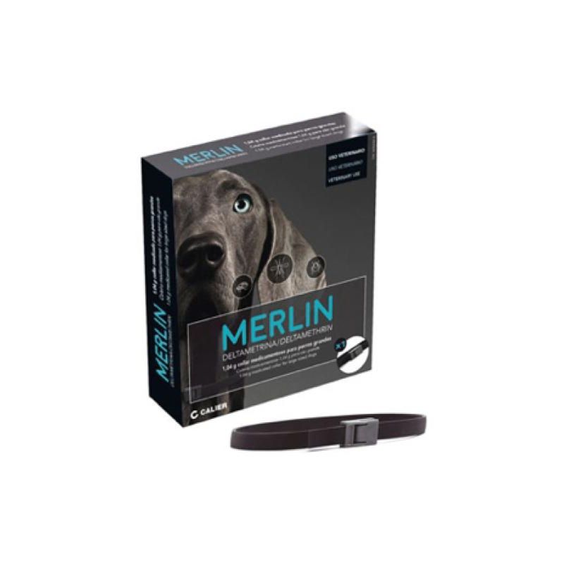 MERLIN 1,04 G COLLIER GRAND CHIEN - DECHRA