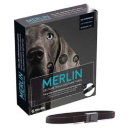 MERLIN 1,04 G COLLIER GRAND CHIEN - DECHRA