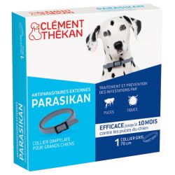 PARASIKAN COLLIER GRAND CHIEN - CLEMENT THEKAN