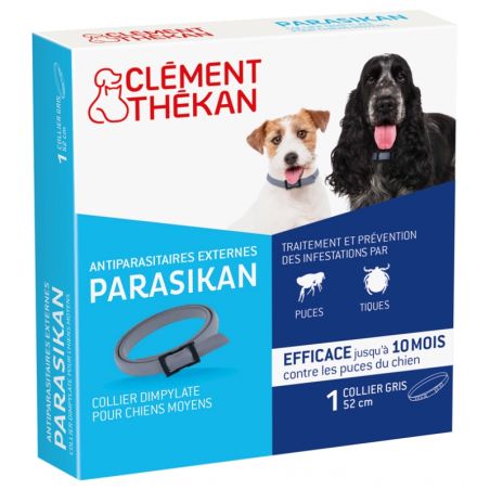 PARASIKAN COLLIER CHIEN - CLEMENT THEKAN