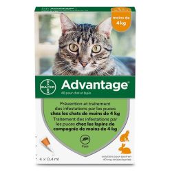 PIPETTES ANTIPARASITAIRE CHAT / LAPIN ADVANTAGE 40 (1,5-4 kg) - BAYER