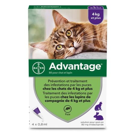 PIPETTES ANTIPARASITAIRE CHAT / LAPIN ADVANTAGE 80 (4-10 kg) - BAYER