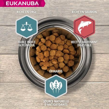 CROQUETTES CHIEN ADULT SAUMON LARGE - EUKANUBA