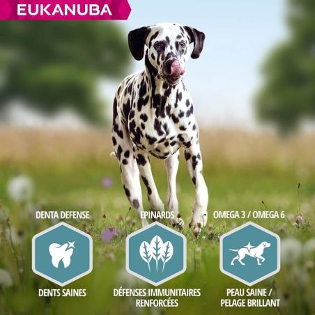 CROQUETTES CHIEN ADULT SAUMON LARGE - EUKANUBA