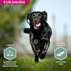 CROQUETTES CHIEN ADULT SENSITIVE JOINTS - EUKANUBA