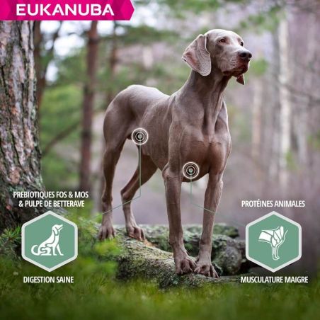 CROQUETTES CHIEN ADULT SENSITIVE JOINTS - EUKANUBA