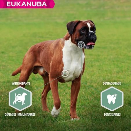 CROQUETTES CHIEN ADULT SENSITIVE JOINTS - EUKANUBA