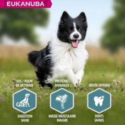 CROQUETTES CHIEN ADULT SMALL / MEDIUM AGNEAU - EUKANUBA