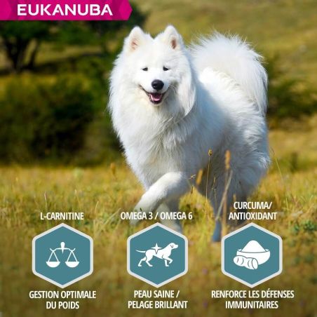 CROQUETTES CHIEN ADULT SMALL / MEDIUM AGNEAU - EUKANUBA