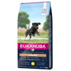 CROQUETTES CHIEN JUNIOR LARGE - EUKANUBA