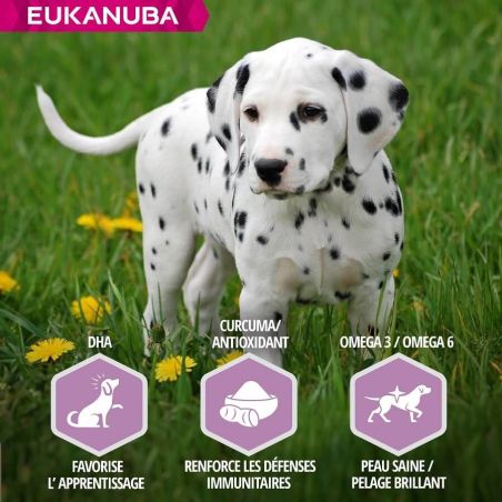 CROQUETTES CHIEN PUPPY JUNIOR AGNEAU LARGE - EUKANUBA