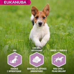 CROQUETTES CHIEN PUPPY JUNIOR AGNEAU SMALL / MEDIUM - EUKANUBA