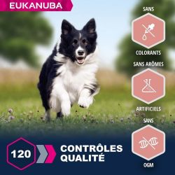 CROQUETTES CHIEN SENIOR AGNEAU SMALL / MEDIUM - EUKANUBA