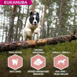 CROQUETTES CHIEN SENIOR AGNEAU SMALL / MEDIUM - EUKANUBA