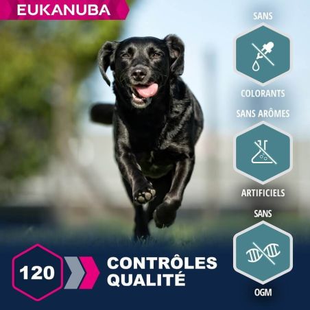 CROQUETTES CHIEN ADULT LARGE AGNEAU - EUKANUBA