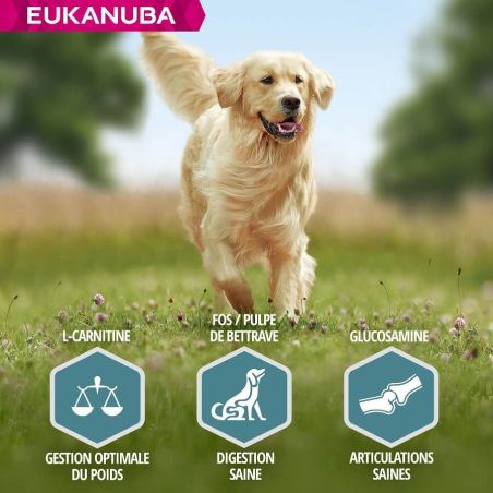 CROQUETTES CHIEN ADULT LARGE AGNEAU - EUKANUBA