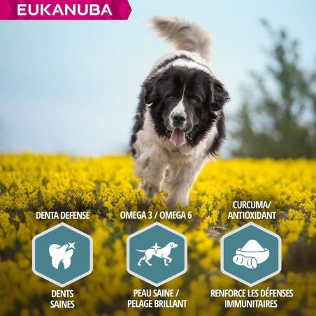 CROQUETTES CHIEN ADULT LARGE AGNEAU - EUKANUBA