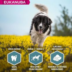 CROQUETTES CHIEN ADULT LARGE AGNEAU - EUKANUBA