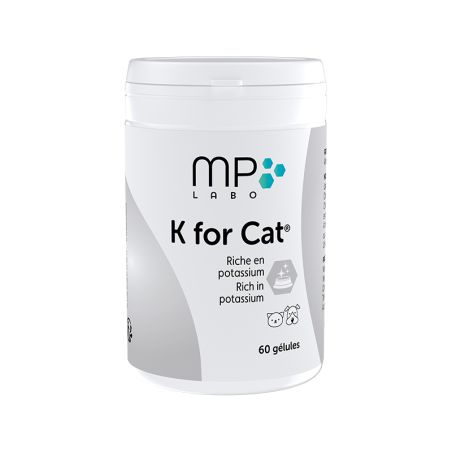 K FOR CAT - MP LABO