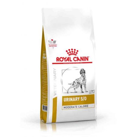 Croquettes chien VETERINARY DOG HYPOALLERGENIC MODERATE CALORIE - Royal Canin