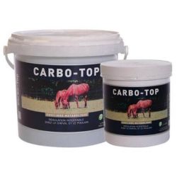 CARBO-TOP POUDRE - GREEN PEX