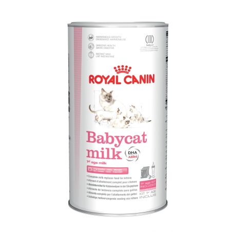 Lait maternisé chat - BabyCat milk - ROYAL CANIN
