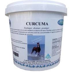 CURCUMA POUDRE - LABORATOIRE BONNE