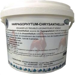 HARPAGOPHYTUM + CHRYSANTHELLUM - LABORATOIRE BONNE