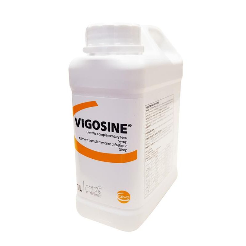 Complément vitalité - Vigosine