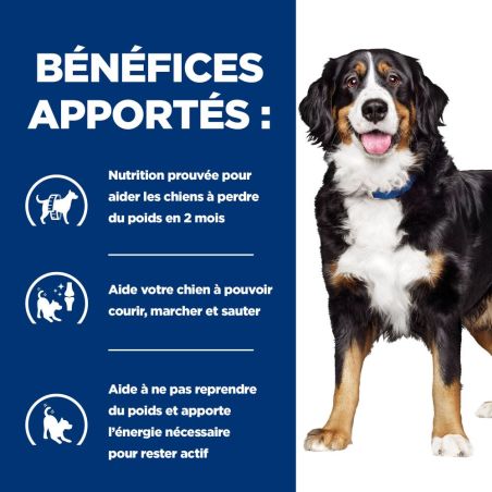 CROQUETTES CHIEN ADULT PRESCRIPTION DIETS J/DMOBILITY - HILL'S