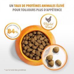 Croquettes chat stérilisé - IAMS for Vitality