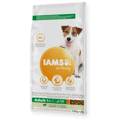 Croquettes chien Adult S/M AGNEAU - IAMS for Vitality