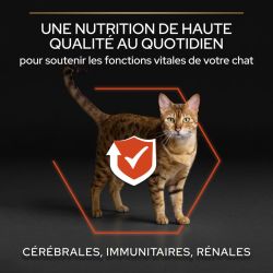 CROQUETTES CHAT ORIGINAL ADULT avec OPTISENSES SAUMON - PURINA PROPLAN