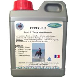 FERCO B12 - LABORATOIRE BONNE