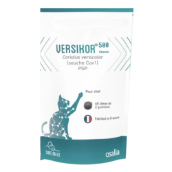 Versikor 500 chews chat - Osalia