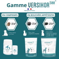 Versikor 500 chews chat - Osalia