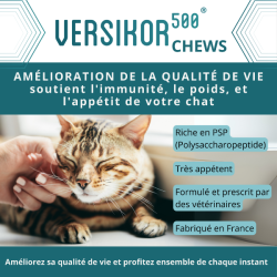 Versikor 500 chews chat - Osalia