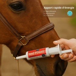 Préparation à l’Effort – Énergie, Performance & Vitalité - Horse Master