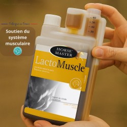 Préparation à l’Effort – Énergie, Performance & Vitalité - Horse Master