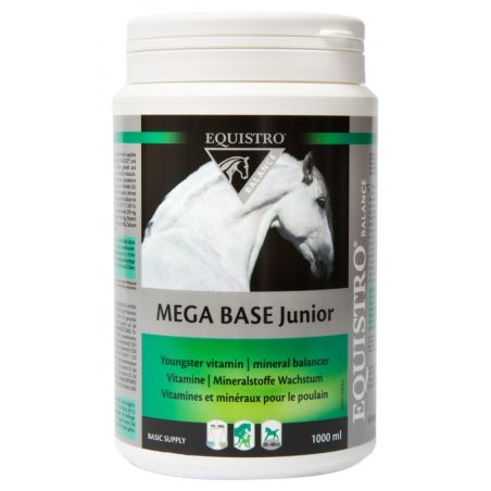 Megabase Junior - Equistro