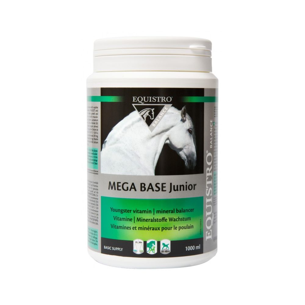 Megabase Junior - Equistro