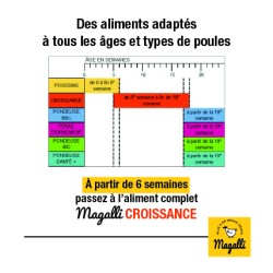 Magalli Aliment Complet Poussins - Croissance Optimale