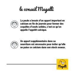 Magalli Coquilles Marines Calcaire - Source De Calcium