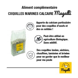 Magalli Coquilles Marines Calcaire - Source De Calcium